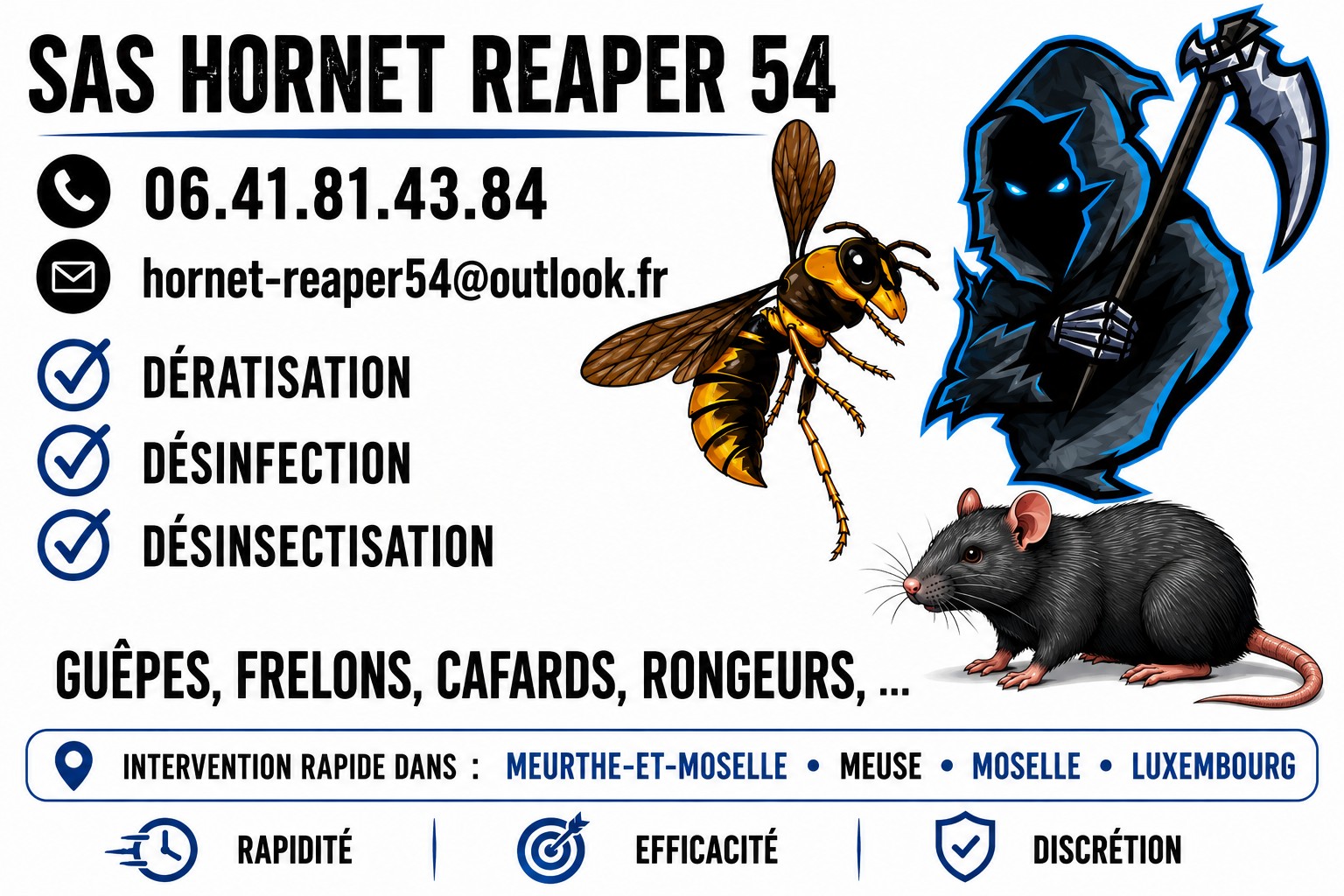 Illustration SAS Hornet Reaper 54